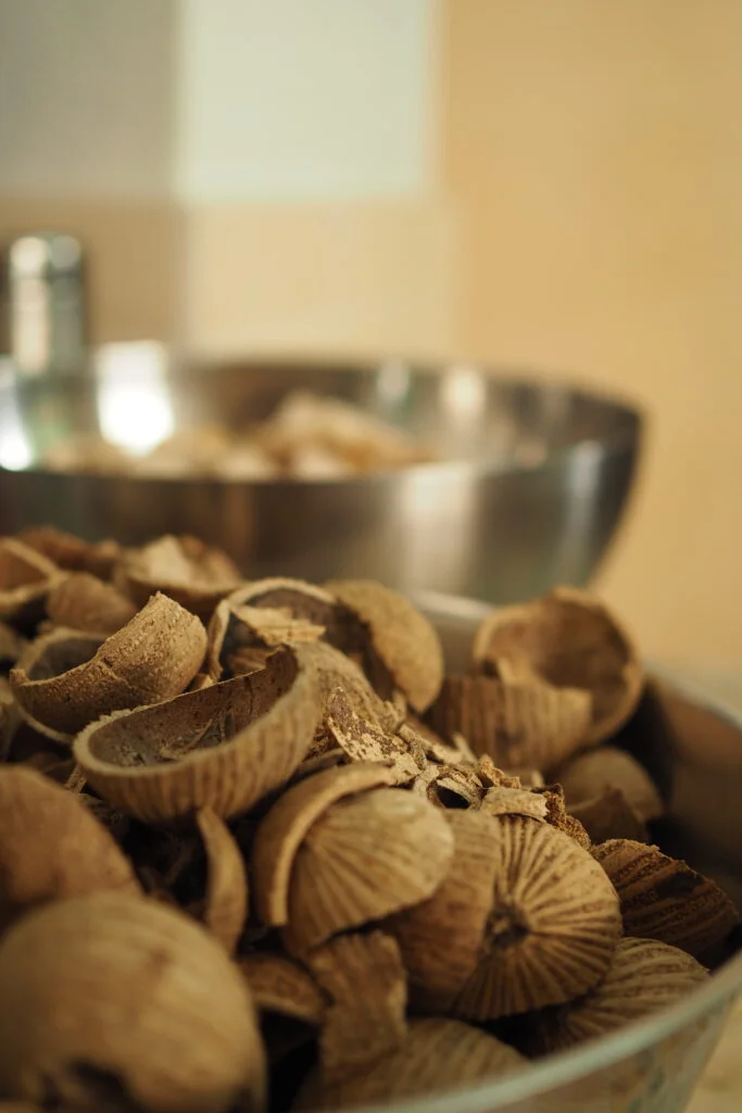 OLYMPUS DIGITAL CAMERA Cracked Kulim fruits, separated by shell and flesh.