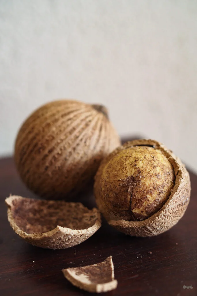 OLYMPUS DIGITAL CAMERA A couple of Kulim fruits, one cracked open revealing the inner flesh of the fruit.